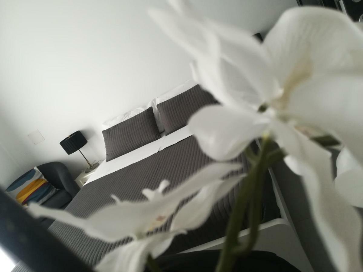 B&B Roda Barocco Noto Luaran gambar